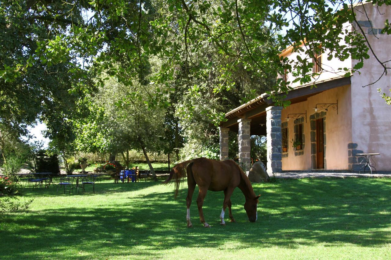 Country Hotel Mandra Edera Abbasanta Bagian luar foto