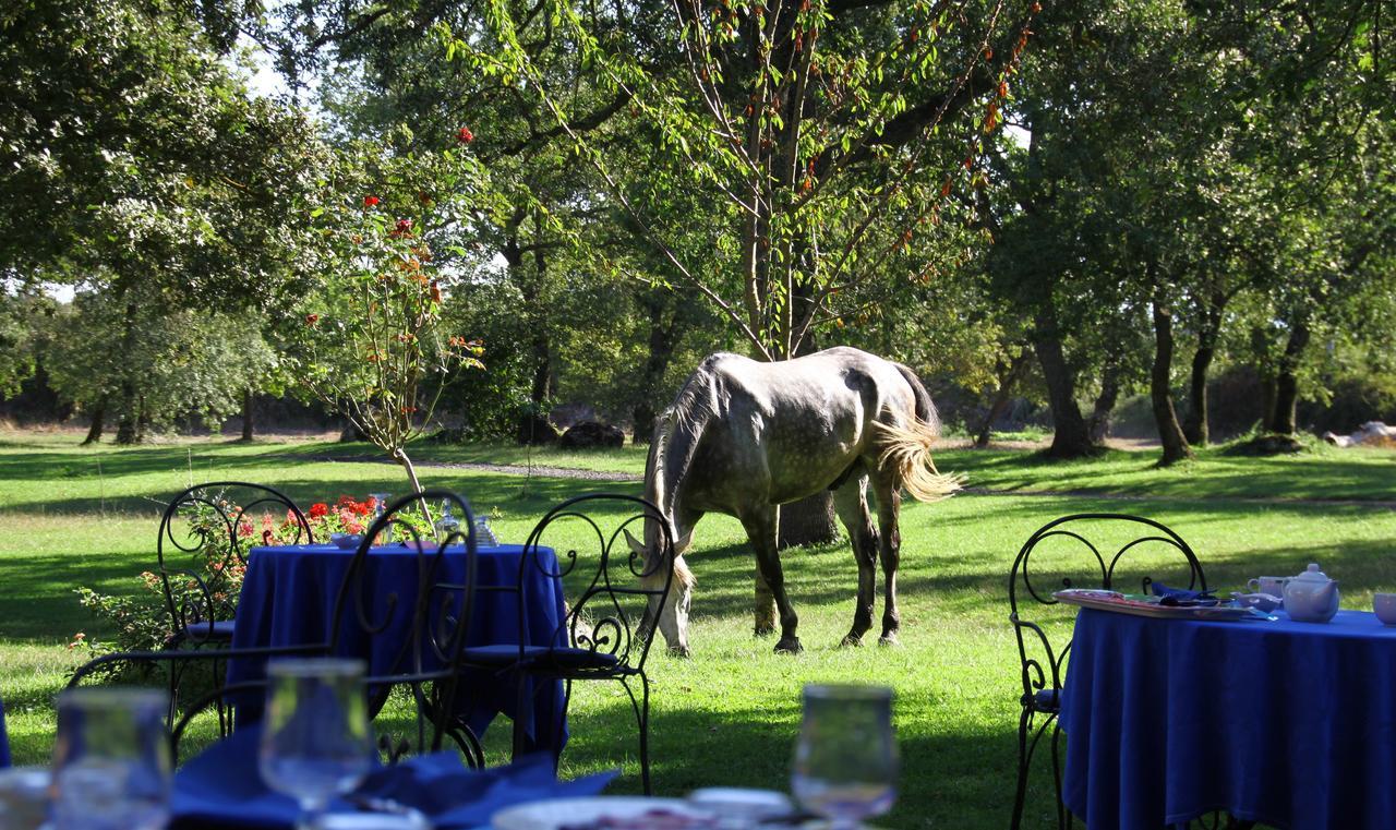 Country Hotel Mandra Edera Abbasanta Bagian luar foto